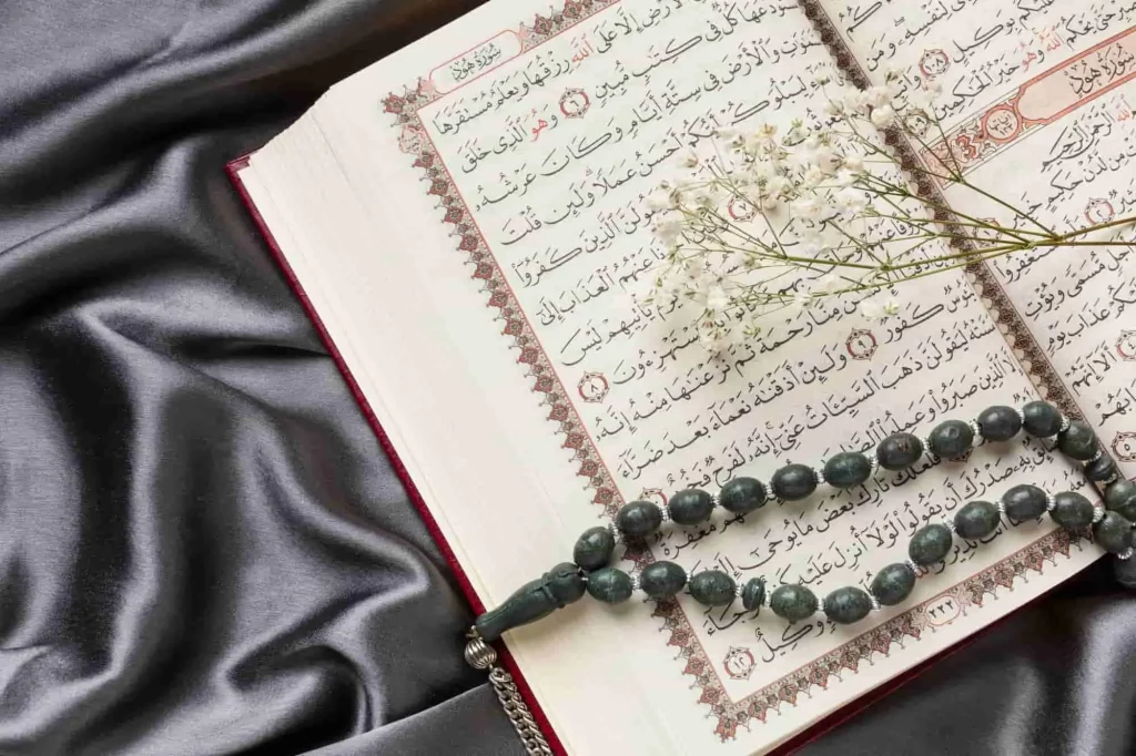 Finding the Best Quran Translation Course
